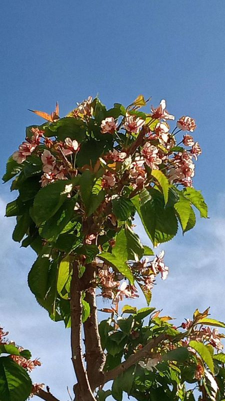 ������ ������: ������� ���� �� ���������� ������