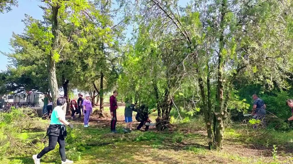 ������ ������: ���������� �� ����� ��������������� �������������� ������ ������������