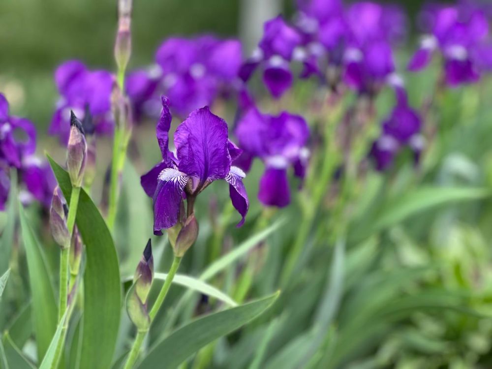 ������ ������: ������� ��������� ��� ����! ��� ����� �������? ������ ���� ������������� � �����������