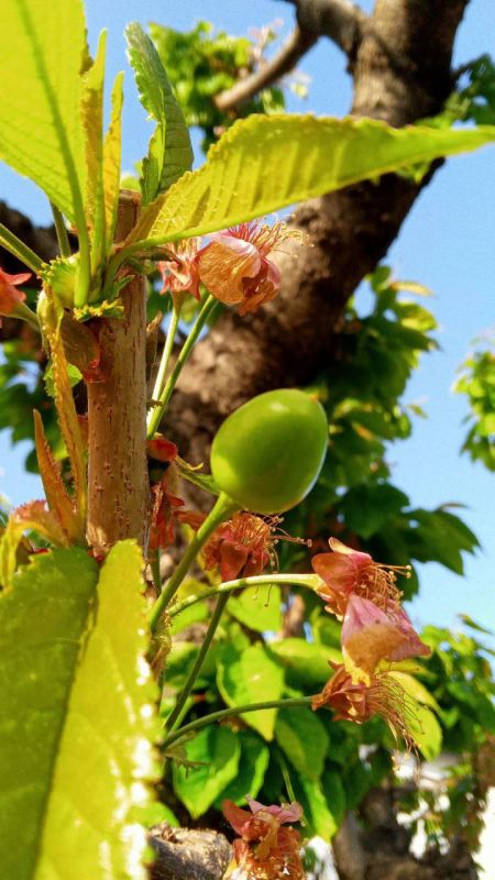 ������ ������: ������� ����! ����������, ����� ������������� ���� �������� ���������� ������