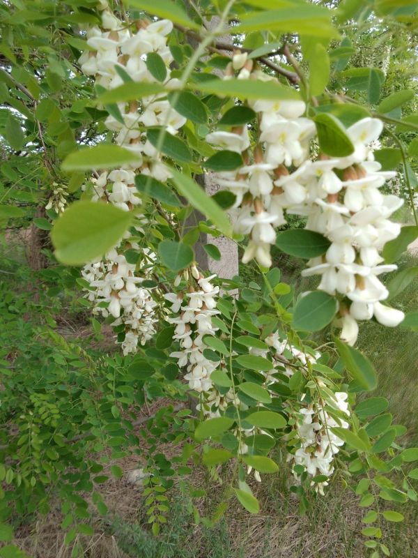 ������ ������: ������ ���� �� ���������� ����!