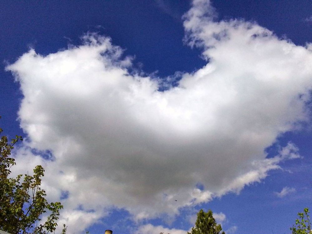 ������ ������: ������� ���� ����! �������� �������� �� ���������� ���������