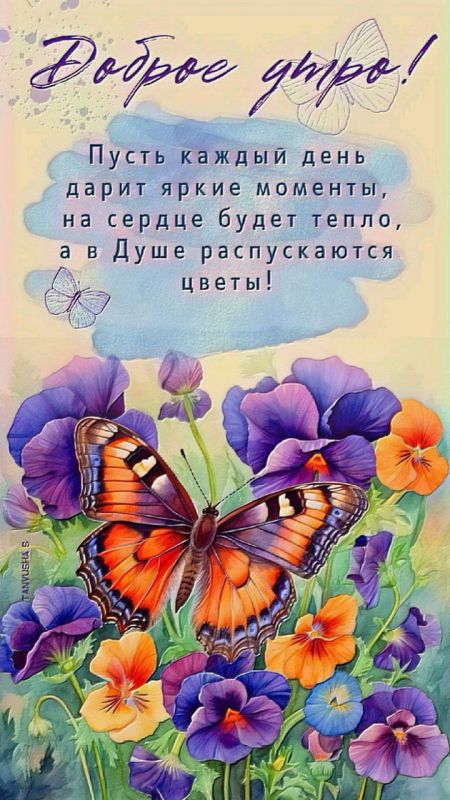 � ������ ��������