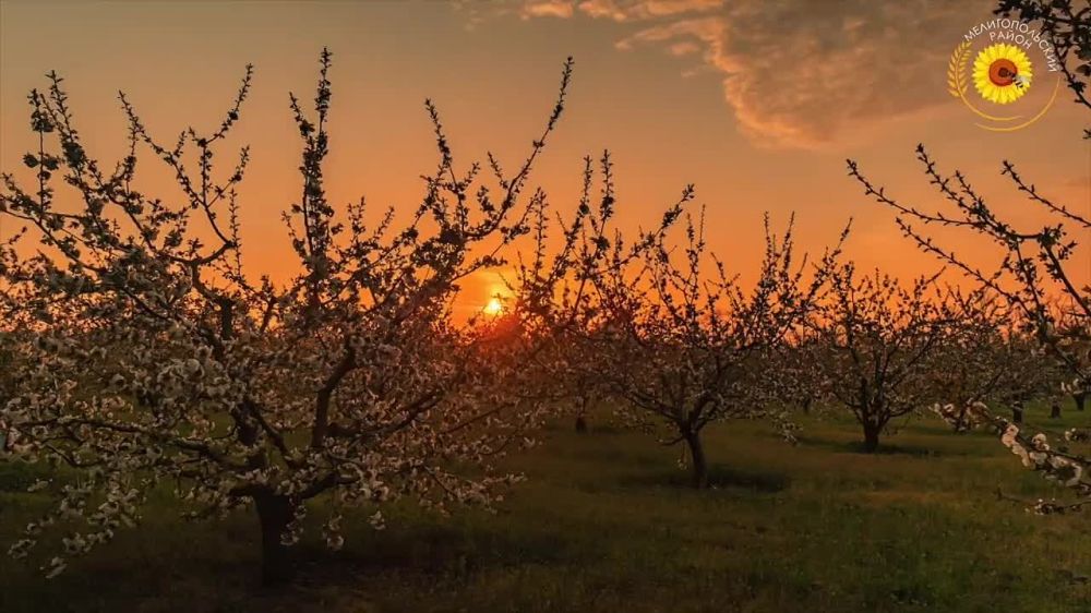 ������ ������: �������������� � ����� ���������� ���� �� �����