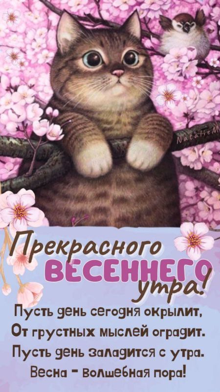 � ������ �����