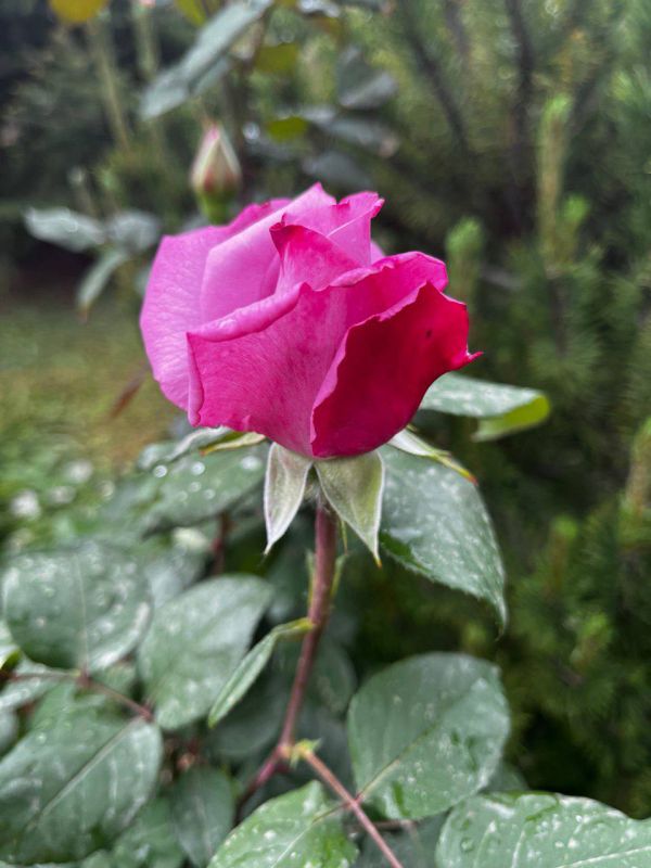 ������ ������: ���������� ������ ������ ����� ��������������� ������ ������� ����!