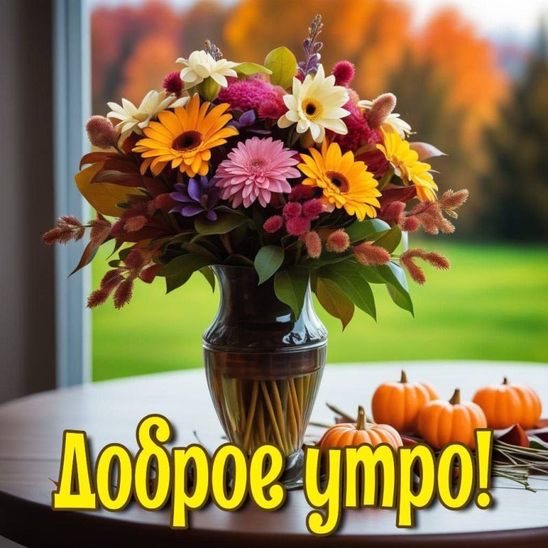 � ������ ��������