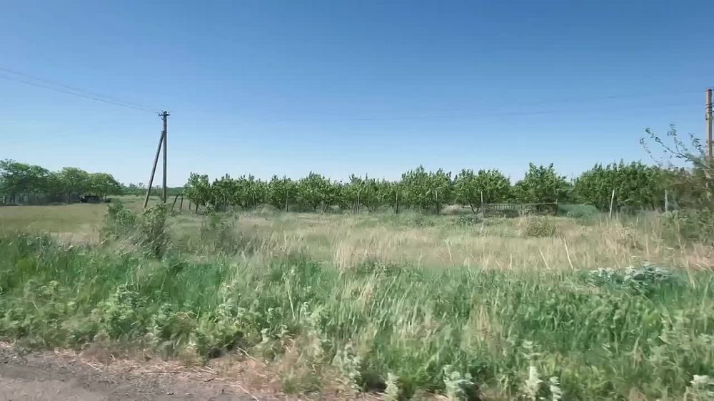 ������ ������: ��������� � ���������� �������� �������������� �����