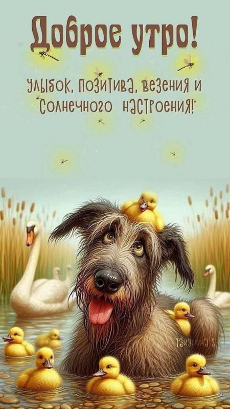 � ������ ��������