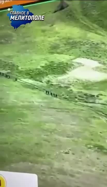 ����� ������� ����� ����� � �������� ����������� ������� � ��� ������������ � ����� ������