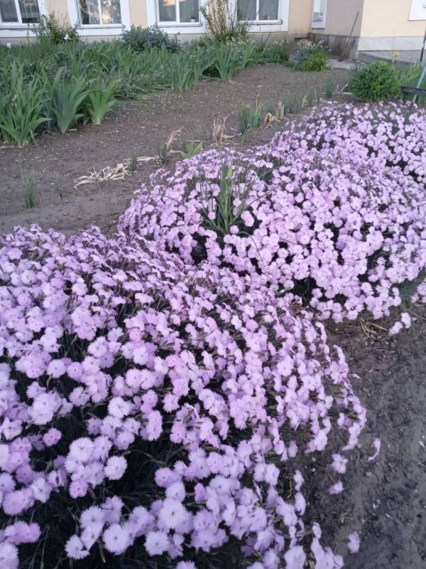 ������ ������: �������� ������ �� ��������� �� ���������� �������!