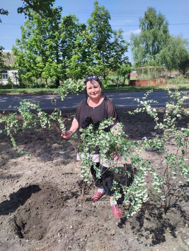 ������ ������: ���������� ������������� ���������������� ������� ��� � ������� � ������ ����