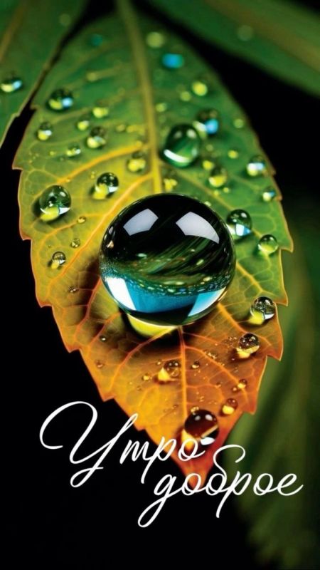 ������ ����! ����� ��������