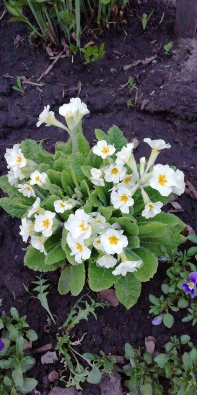 ������ ������: ���������� ������� ������ ��� ���� ������� ���� � �������� ���! � ������������� � �� ����������