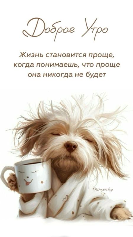 � ������ ��������