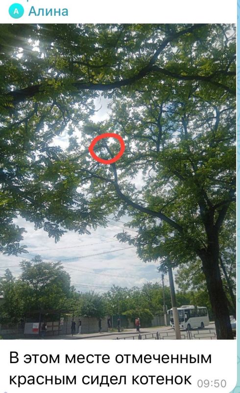 ������ ������: ����� ������������ ������� ���������� ��� ���������� �����: