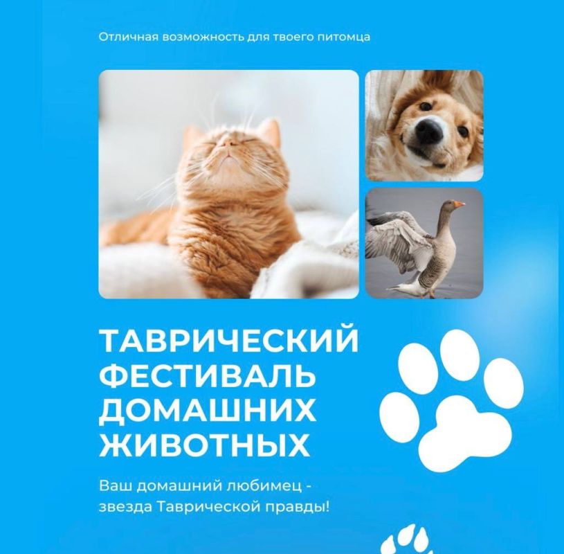��������� ����� ���������� �� ������� ������������ ��������� �������� �������� 2024�