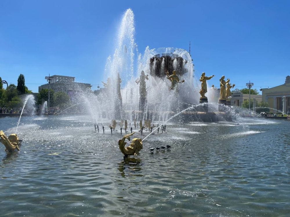 ������ ������: ���������� ����� �� ������ ������ ��� ���� ������� ����!