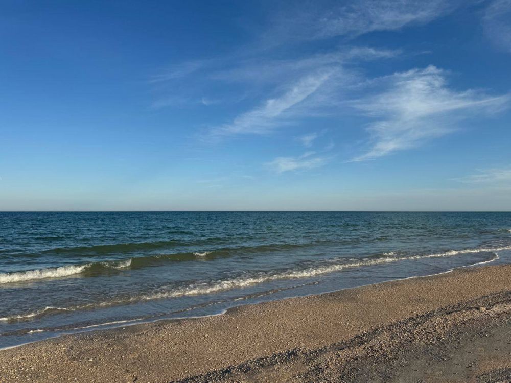 ������ �����������: ������� ����������� 219 ��� �� ��� ����������� ������� ����������, ��������� ��������� ���������