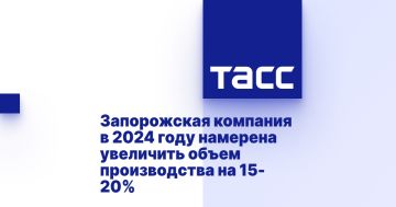    2024       15-20%