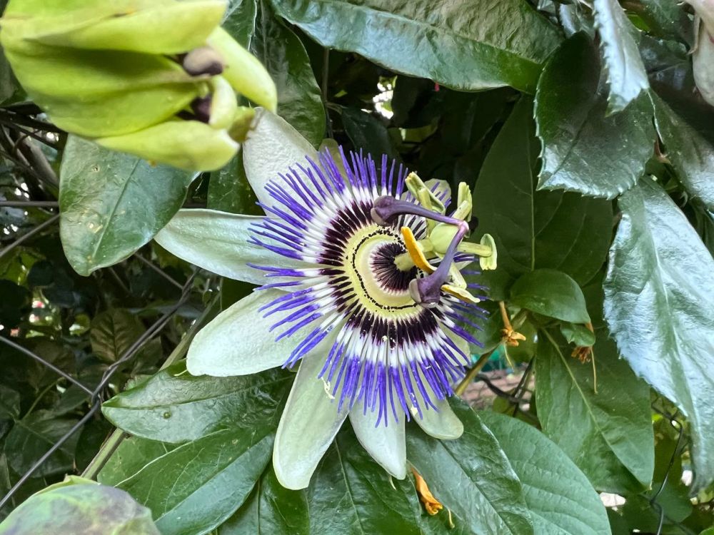 ������ ������: ������� ����! ��� � ��� ���������� �������� ���� ����������� ������