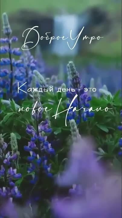 � ������ ��������