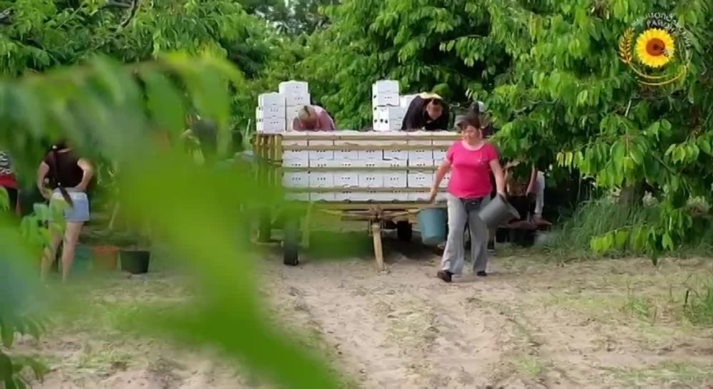 ������ ������: ���������. ����� ��������� ����� ����� ����� ��������� ���������