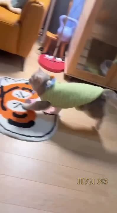 ������ ������ ��������� ��� �������� ��������: ������ ��������