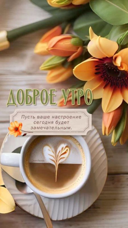 � ������ ��������