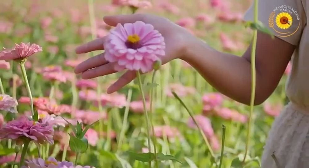 ������ ������: �����������, ������! ����� ���� ���� ����� ����� �� ������ � ������, ��� ��� �����