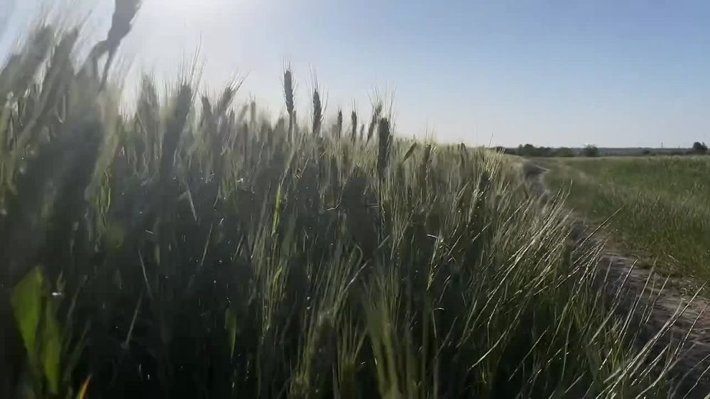 ������ ���� � ����� ��������������� ������