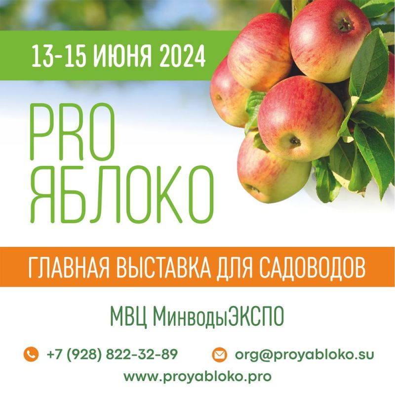    PRO λ 2024 -   