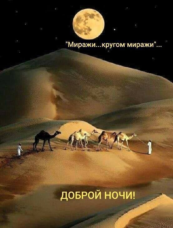 ��������� � �������� ����
