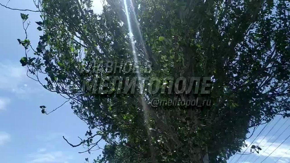 � ���������� ������� �������, ������ ���������