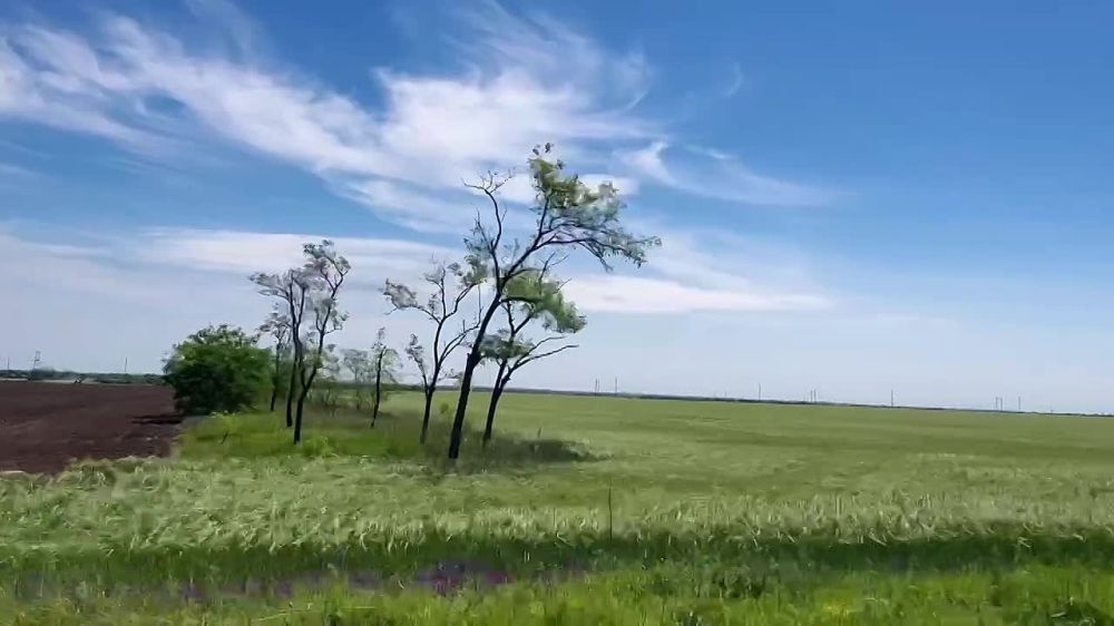 ������ ������: � ������ ��������� �����, �������! ����� ���� ����������� ����� ��������������� ����