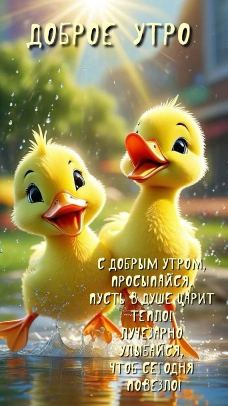 � ������ ���� ����!. ����� ���������� ����������, ������������ ������, ���������� ����, ��������� ����� � ������� �������