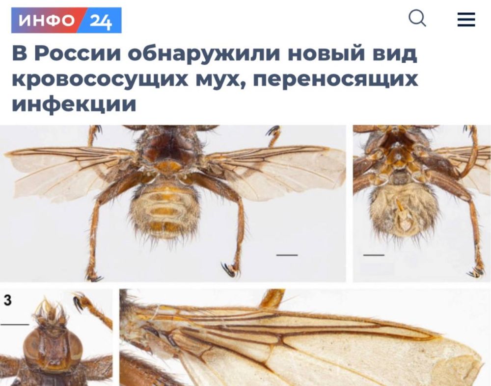 �� ������ ���������� ����� ��� ������������ ���, ����������� ��������: � ���������� �������� ������ ������ ����-����������� ��������� ���� � ����