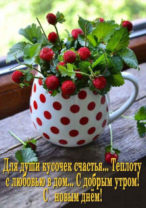 � ������ �����!. ����� ��� ����� ��������� ��������� �����������, ��������� � ���������, � ���� �������� ����� ������� �������