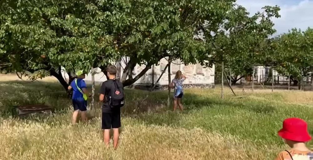 ������ ������: ������� ������ �� ������ "������" ��������� �������� �� ������� ���� "��� ������ ���", ������� ����������� �������� � ���������� ������