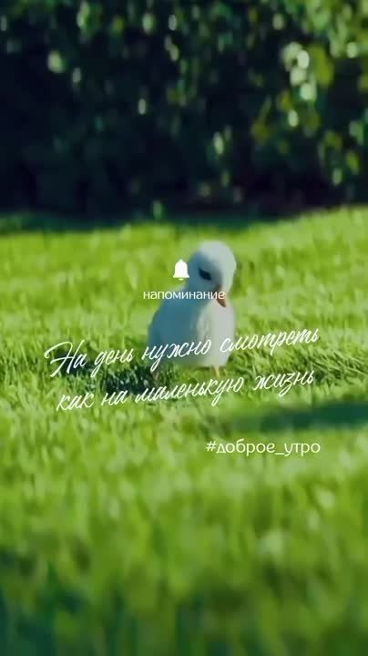 ����� ��� ��������������, �������, ��������, ������� � ������� ����
