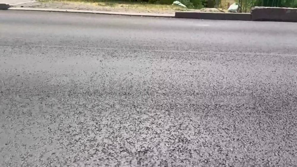 �� �����, ������� ��������� �� ������ �� ���������� � ������� ��������������, ��������� ������ �� ������ ��������
