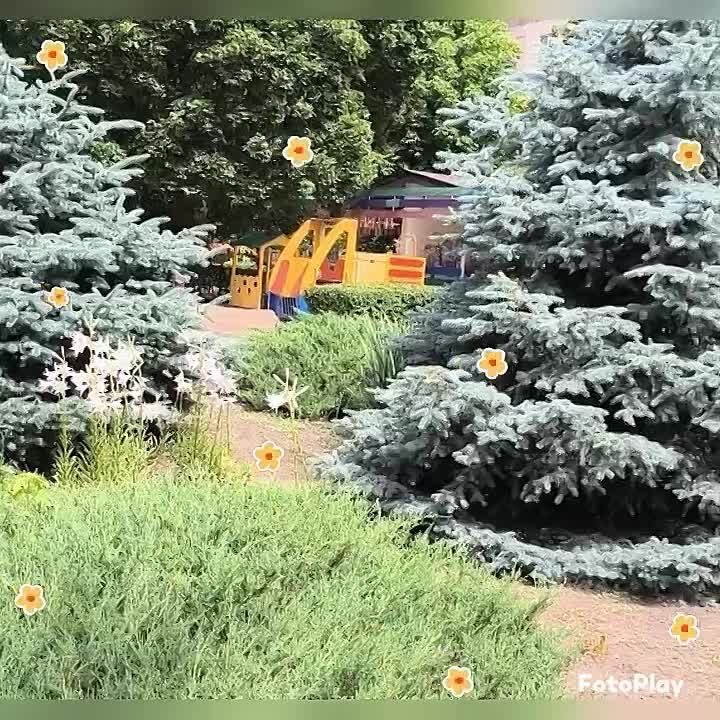 ��� ��� �������� ���� � ������������� �������� ���� � 46 �������� �. ���������
