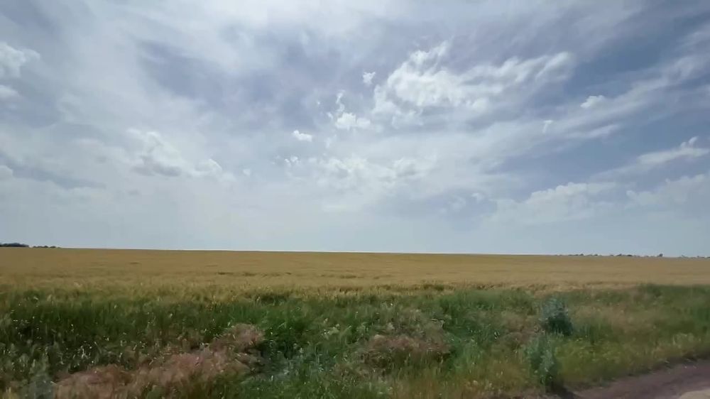 ������ ������: �������������� ����� � ��������