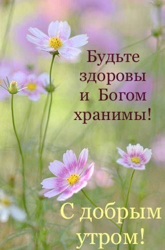 � ������ ��������