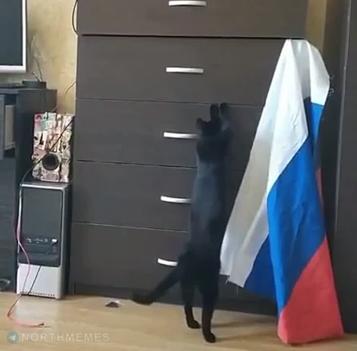 ����� �������������������