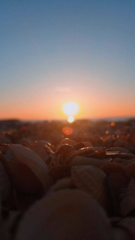 ������ ������: ������ �������� ���� �� ���������� ������