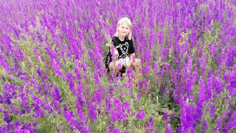 ������ ������: � ������ ����� ���� ������ � ���� ��������� ����������� � ����� �� ���������� ��� ��������� "��������� ������"