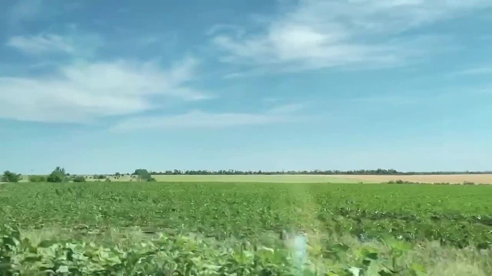 ������ ������: ������� ���� ������ ��� ��������������