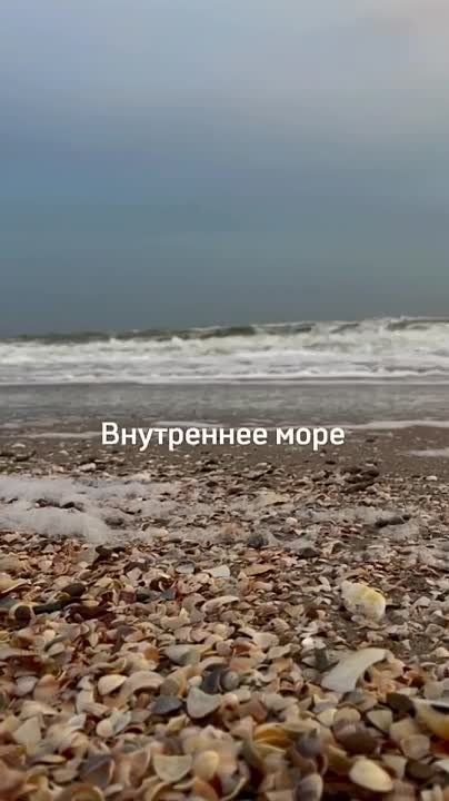 ������ �������� �� �������� ���� 20 ��������