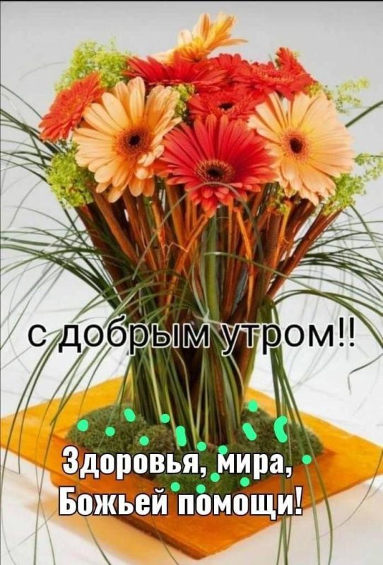 � ������ ��������